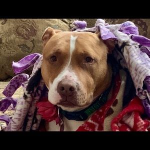 Meet your Posher, Mary